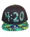 Loyal Cloth Weed 420 Snapback Design Cap - Full Weed - CL129W1K74D