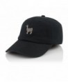 Official Animals Penguin Adjustable Strapback