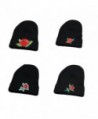 Embroidered Winter Skullcap Elastic Beanie