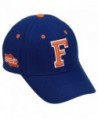 Top of the World Florida Gators Conference Hat - Florida Gators - C3111G7U41X