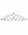 Simplicity Women's Prom Queen Crystal Rhinestones Crown Tiara - 983_fan-shape - C011YWC4EH9