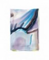 TexereSilk Elegant Multicolor Unisize AS0026 MTC U in Fashion Scarves