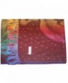 Ted Jack Feathers Pashmina Multicolor in Fashion Scarves
