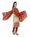 Dupatta Bazaar Phulkari Embroidery Chiffon in Cold Weather Scarves & Wraps