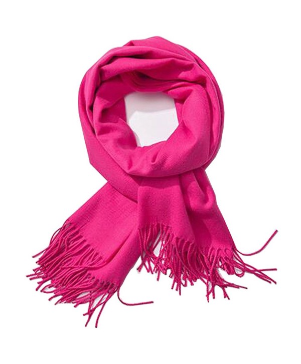 Soft Cashmere Feel Scarf- Bien-Zs Large Pashmina Shawls Wraps Winter Scarf for Women Men Gift - Pink - CA1880QKTCL