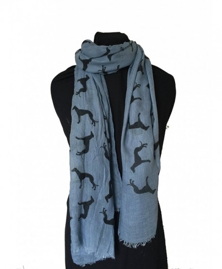 Pamper Yourself Now Women's Big Greyhound Scarf - Sky Blue - CM12I7A5E8D