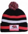 American Cities California Republic Beanie