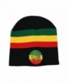 RW Rasta Lion Embroidered Beanie in Men's Skullies & Beanies