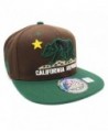 LAFSQ Embroidered California Republic With Bear Claw Scratch Snapback Cap - Brown/Yellow/Green - CE189793ONX