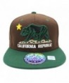 LAFSQ Embroidered California Republic Snapback