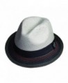 Santana Holistic Toyo Pinch/braid Fedora Hat - Grey - CR11JBLC09Z