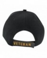 Disabled Vietnam Veteran Campaign Baseball in Men's Baseball Caps