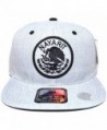 Embroidered Snapback Baseball AYO1041 NAYARIT