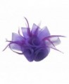 Women Fascinator Hair Clip Headband Feather Flower Cocktail Tea Party Headwear - F Purple - CR186I85KDW