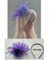 Fascinator Headband Feather Cocktail Headwear