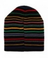 Harry Potter Hogwarts Striped Beanie