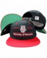 Wisconsin Badgers Classic Split Bar Snapback Adjustable Plastic Snap Back Hat / Cap - CN1176QKDOL