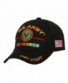 Vietnam Veteran Official Licensed Baseball