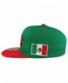 Hecho Mexico Eagle Embroidered Snapback