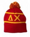 Delta Chi Fraternity Letter Winter Beanie Hat Greek Cold Weather Winter Officially Licensed - CR11Q0VY2BD