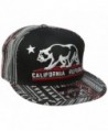 Dolphin Shirt Co California Republic Embroidered Bear Flag Flat Bill Snapback Hat - Aztec Tribal Pattern - CD126OL3UST