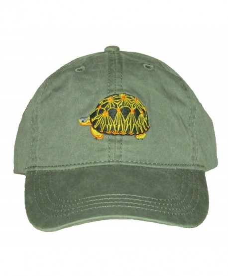 Radiated Tortoise Embroidered Cotton Cap - C7128PK1I7R
